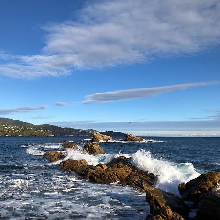 Mer Et Soleil Bormes-les-Mimosas Exteriör bild
