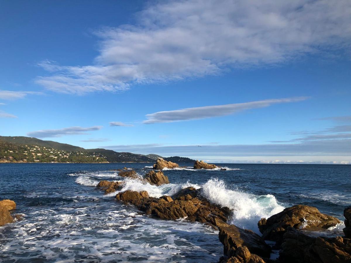 Mer Et Soleil Bormes-les-Mimosas Exteriör bild
